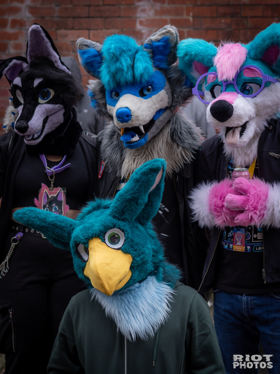 2025-02-08 MancFurs-202502-018.jpg