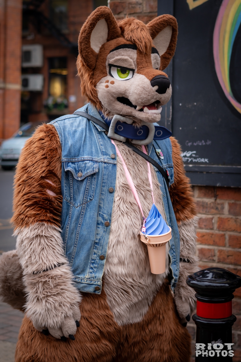 2025-02-08 MancFurs-202502-020.jpg