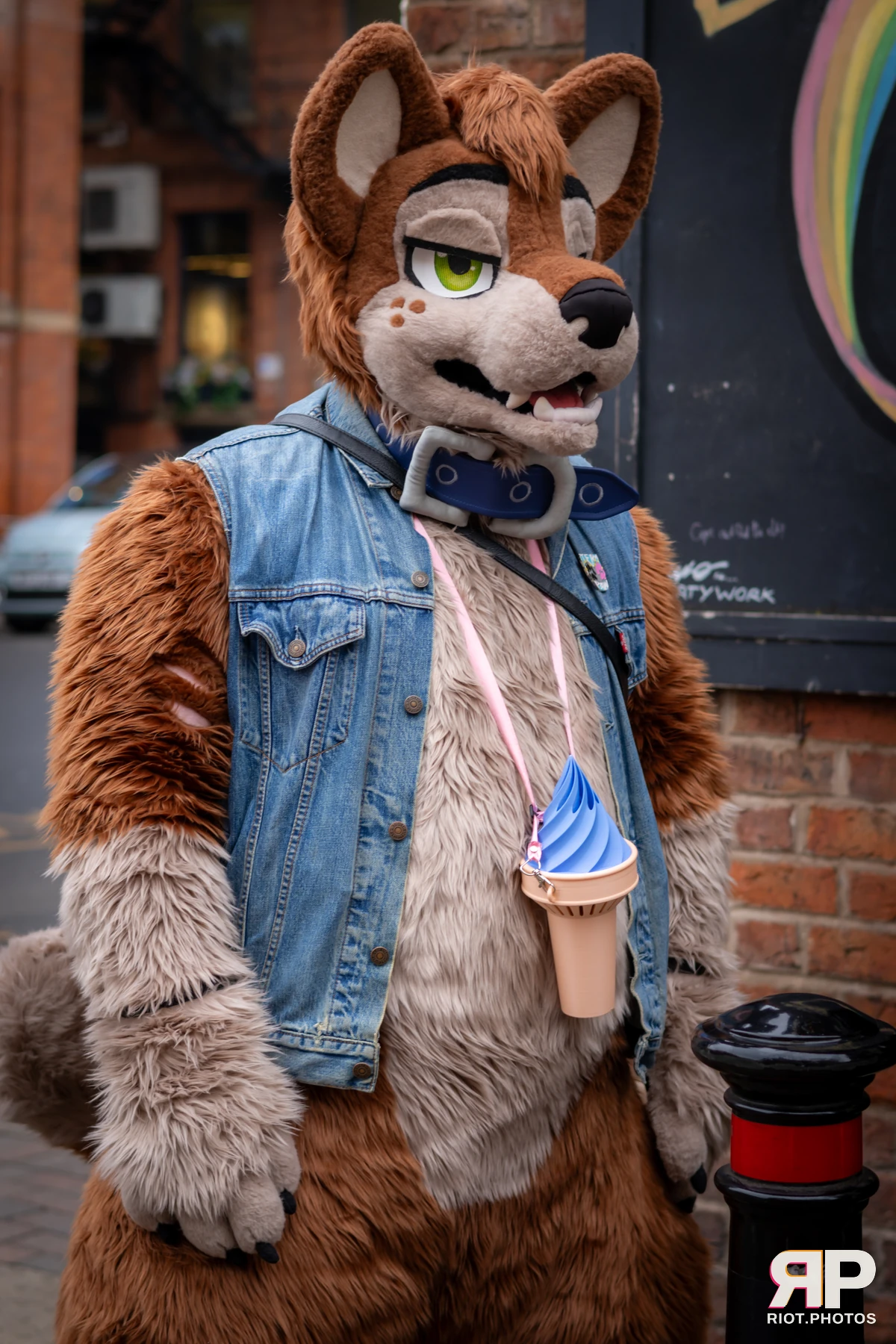 MancFurs - February, 2025 — 08 Feb 2025, Fluffy Riot photography — photo 20