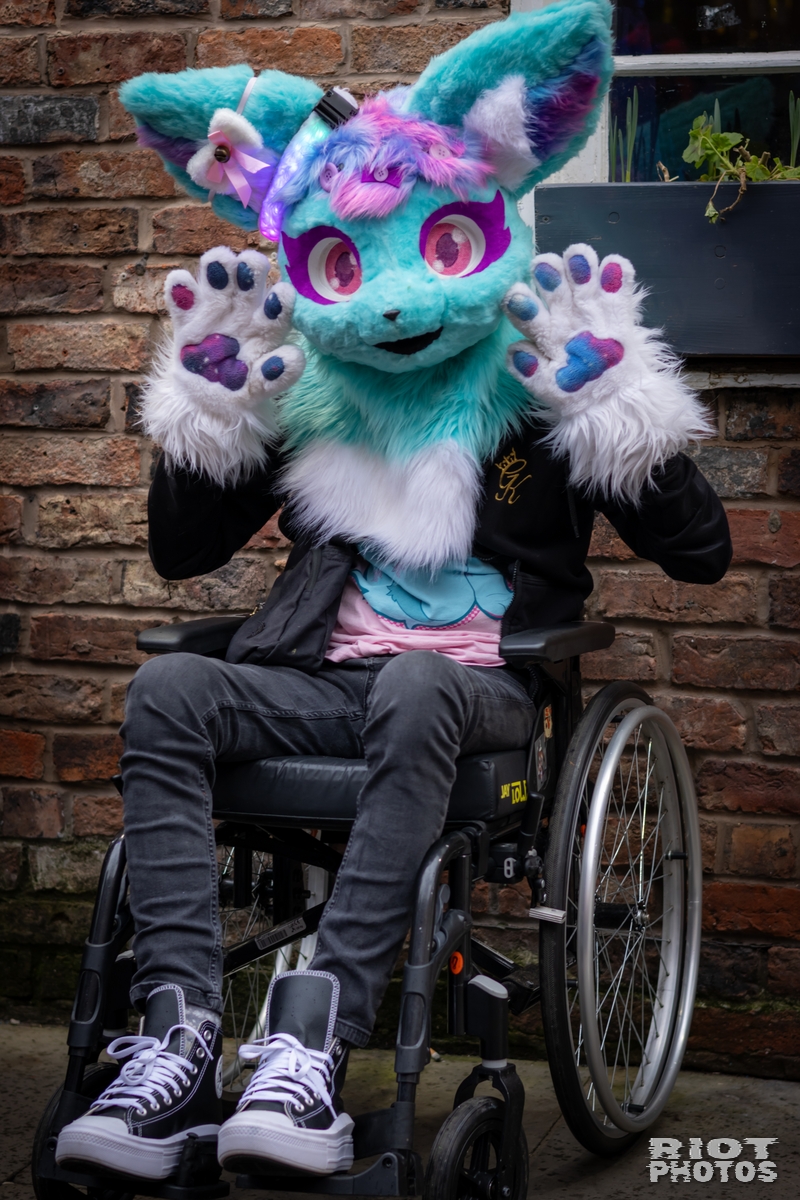 2025-02-08 MancFurs-202502-021.jpg
