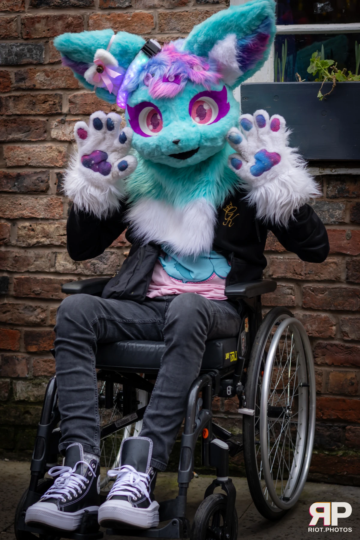 MancFurs - February, 2025 — 08 Feb 2025, Fluffy Riot photography — photo 21