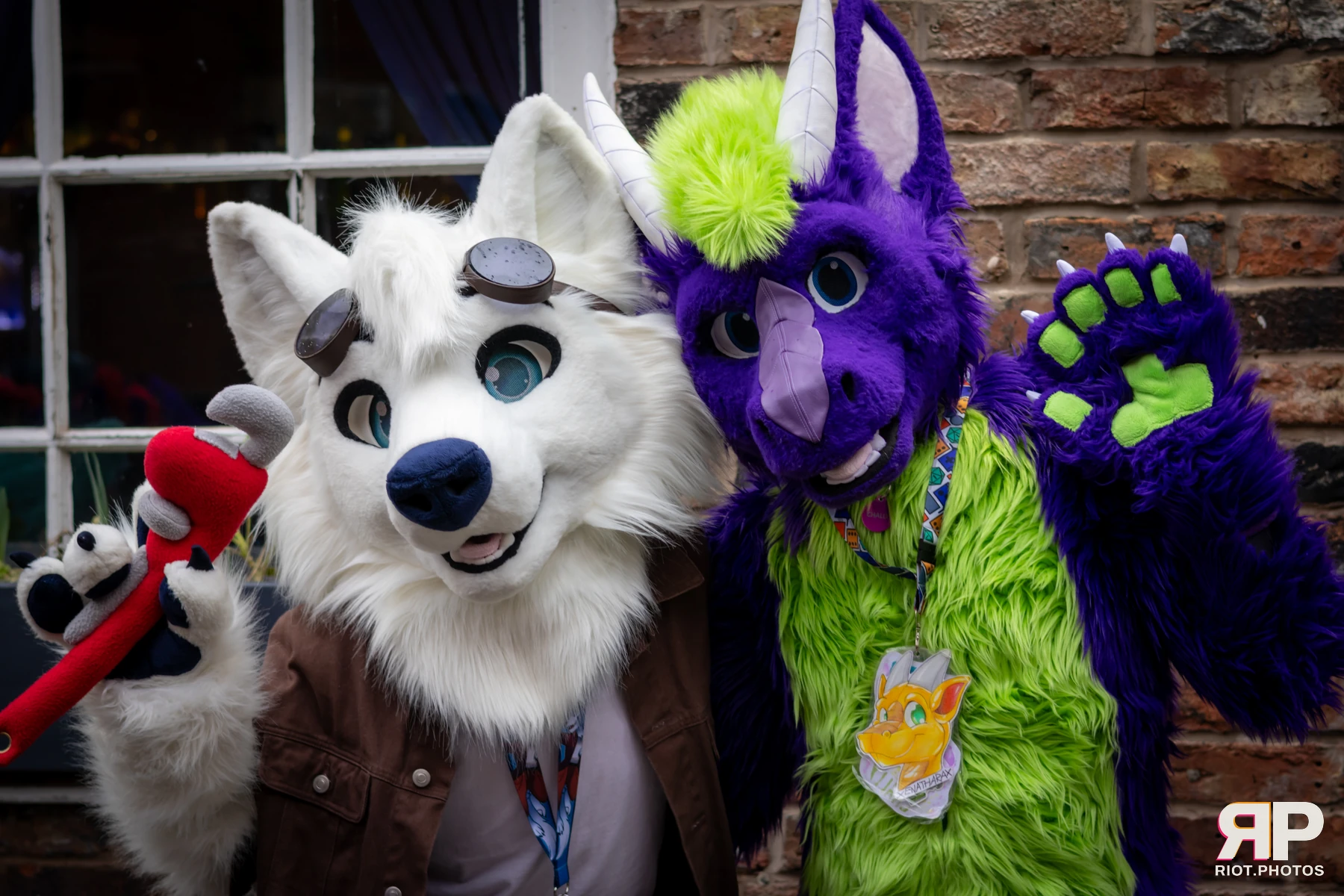 MancFurs - February, 2025 — 08 Feb 2025, Fluffy Riot photography — photo 22