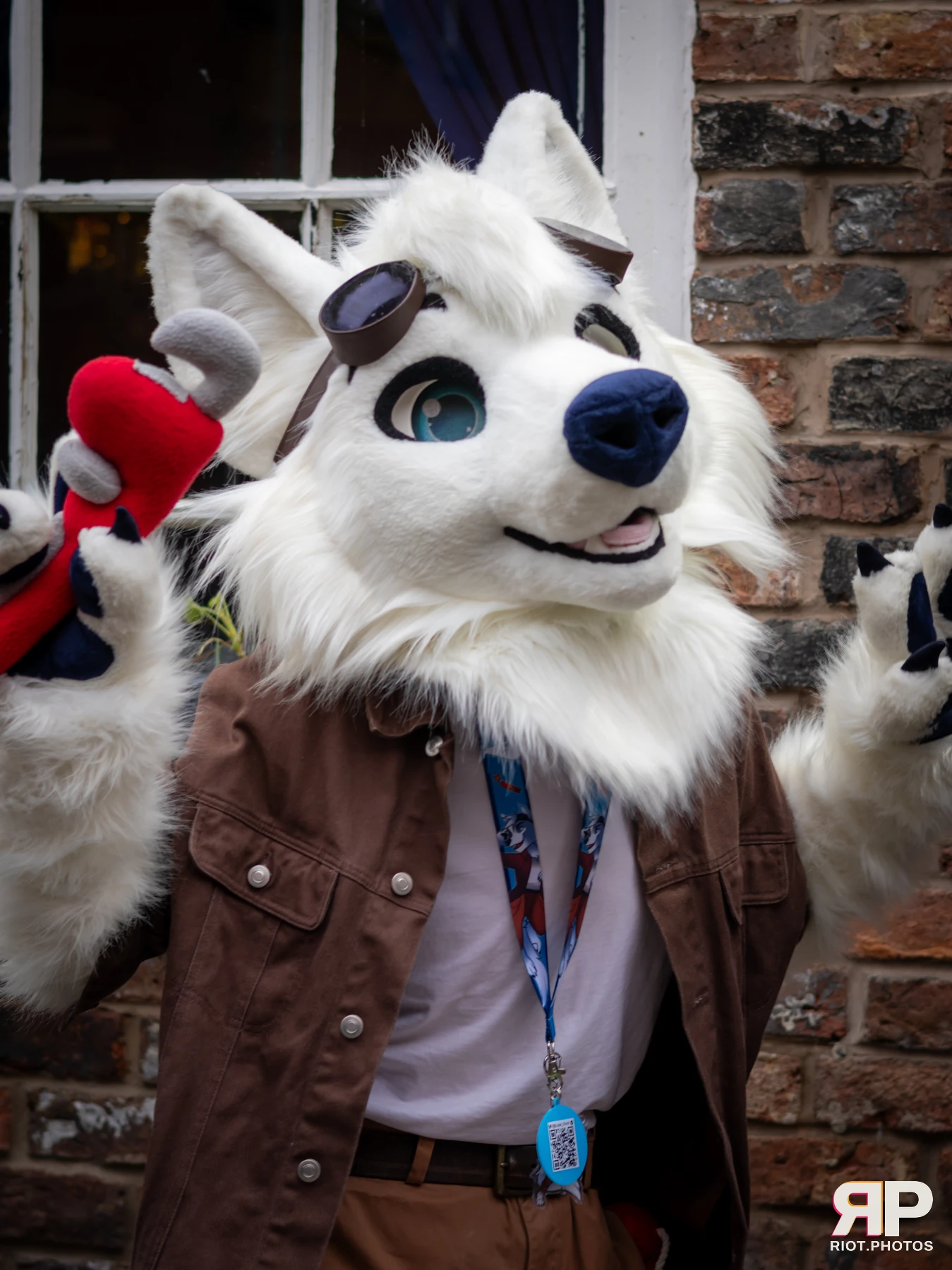 MancFurs - February, 2025 — 08 Feb 2025, Fluffy Riot photography — photo 23