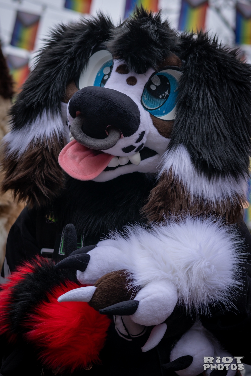 2025-02-08 MancFurs-202502-024.jpg