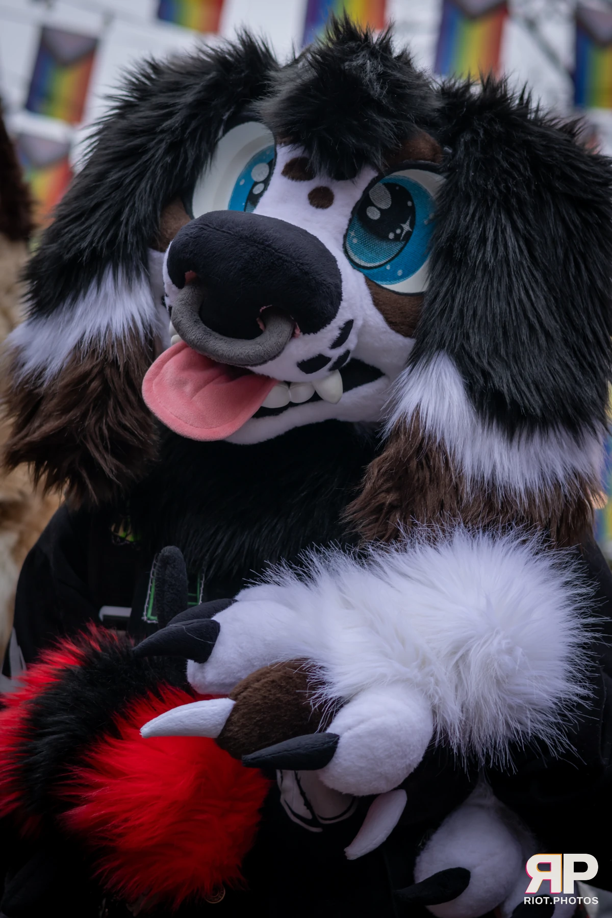 MancFurs - February, 2025 — 08 Feb 2025, Fluffy Riot photography — photo 24