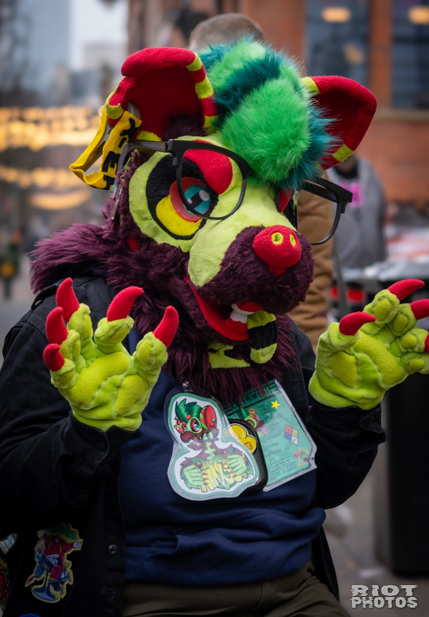 2025-02-08 MancFurs-202502-026.jpg