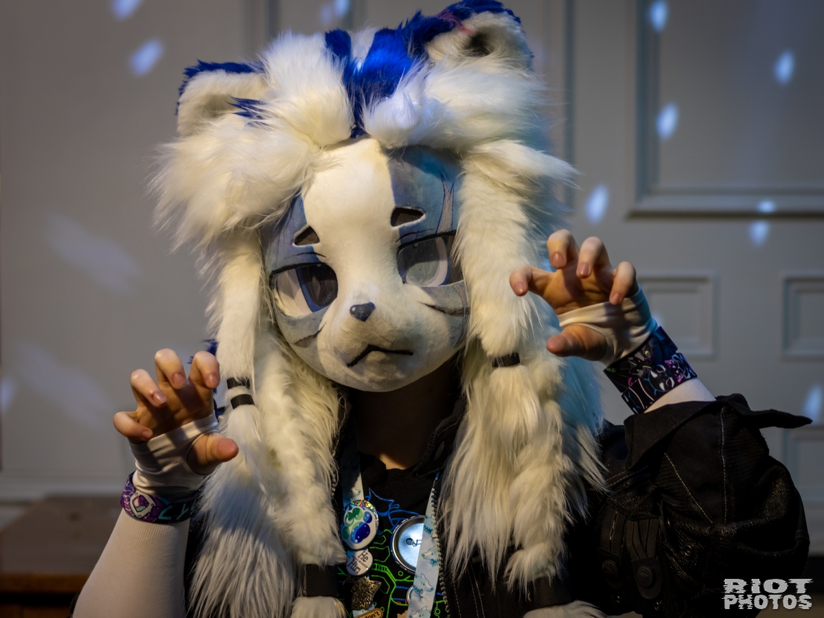 2025-02-08 MancFurs-202502-027.jpg