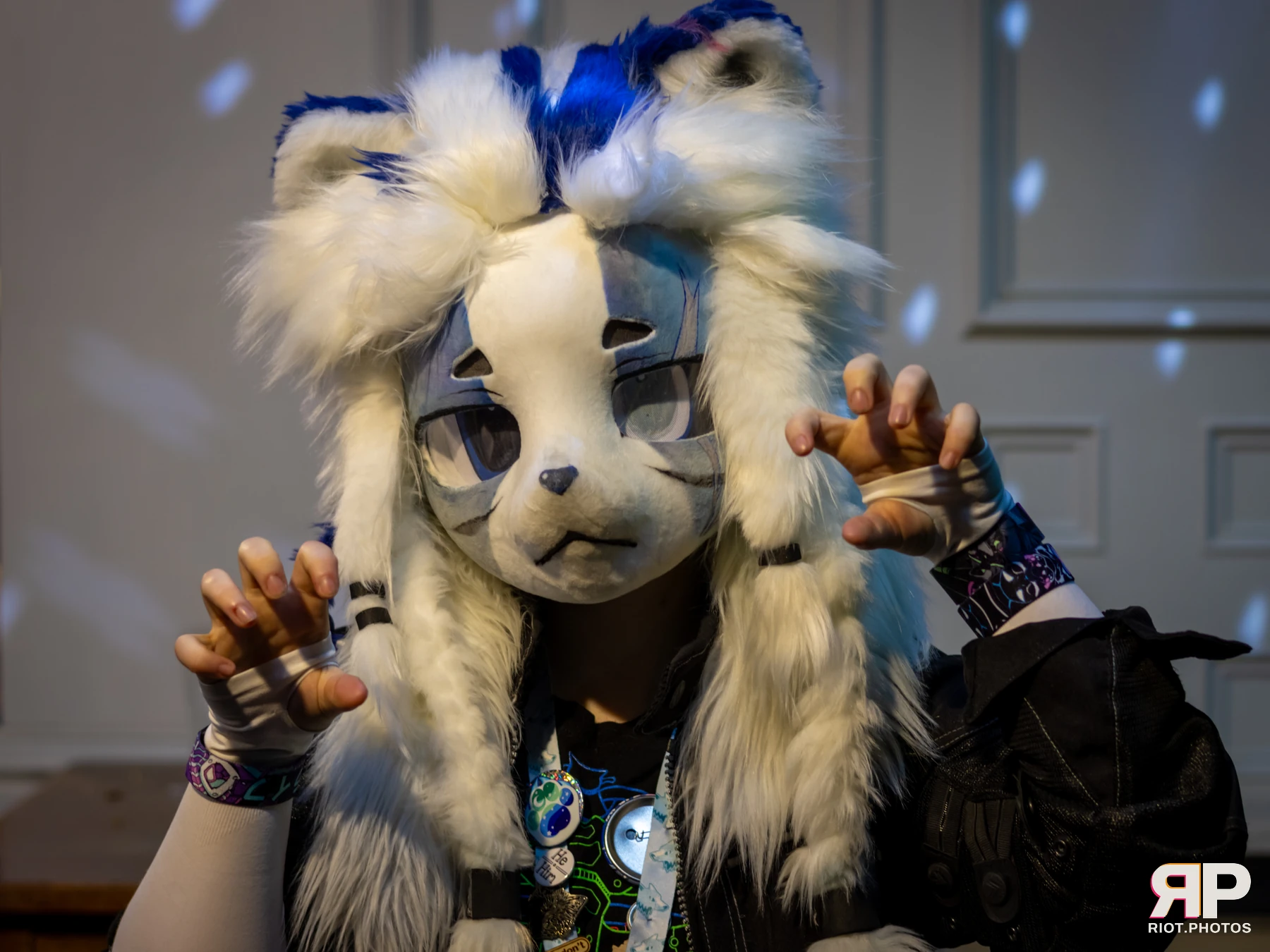 MancFurs - February, 2025 — 08 Feb 2025, Fluffy Riot photography — photo 27