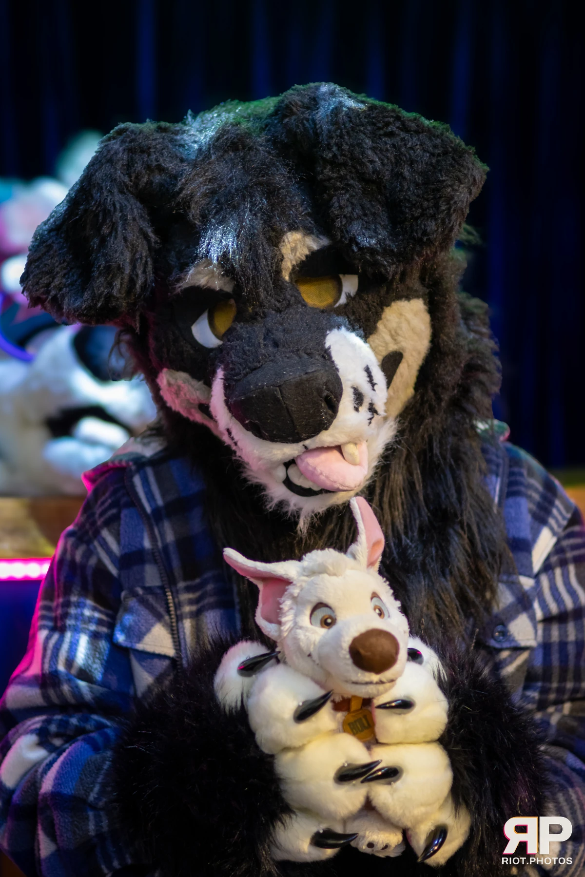 MancFurs - February, 2025 — 08 Feb 2025, Fluffy Riot photography — photo 29