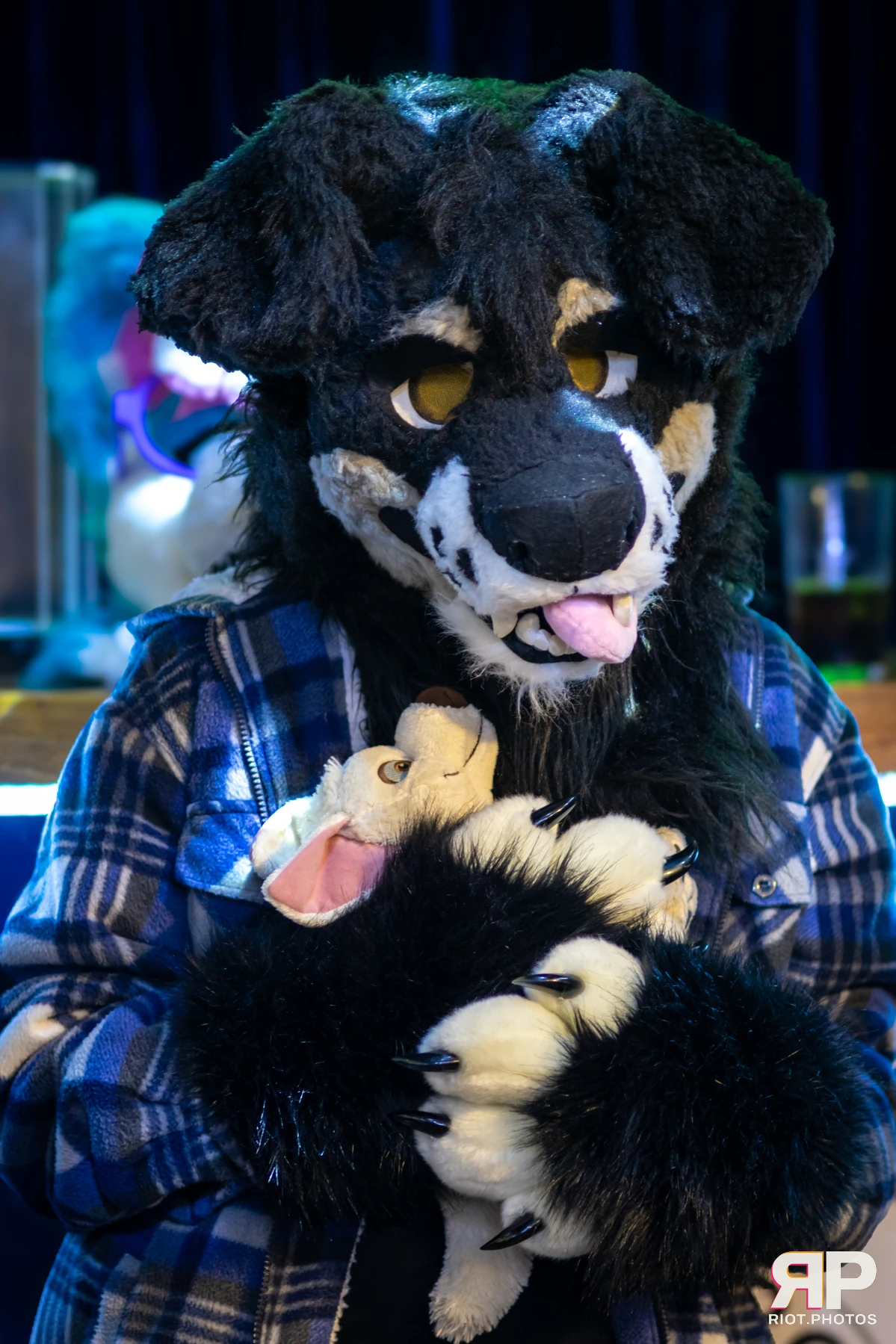 MancFurs - February, 2025 — 08 Feb 2025, Fluffy Riot photography — photo 30