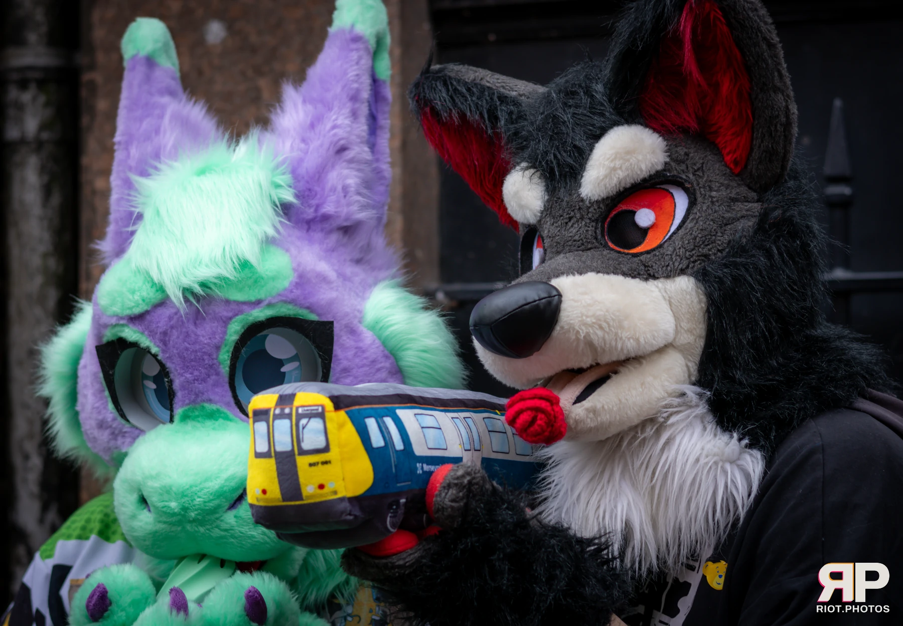MancFurs - February, 2025