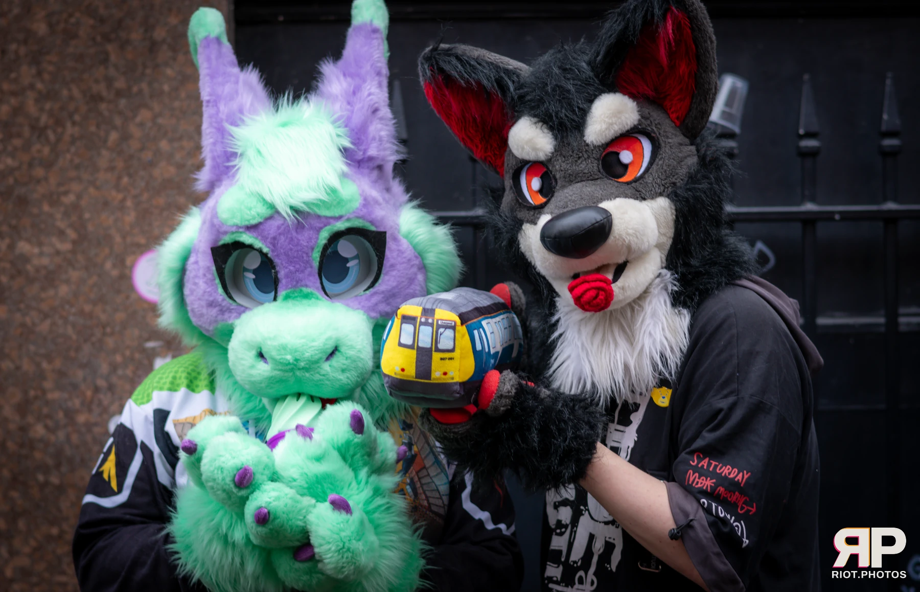 MancFurs - February, 2025 — 08 Feb 2025, Fluffy Riot photography — photo 33