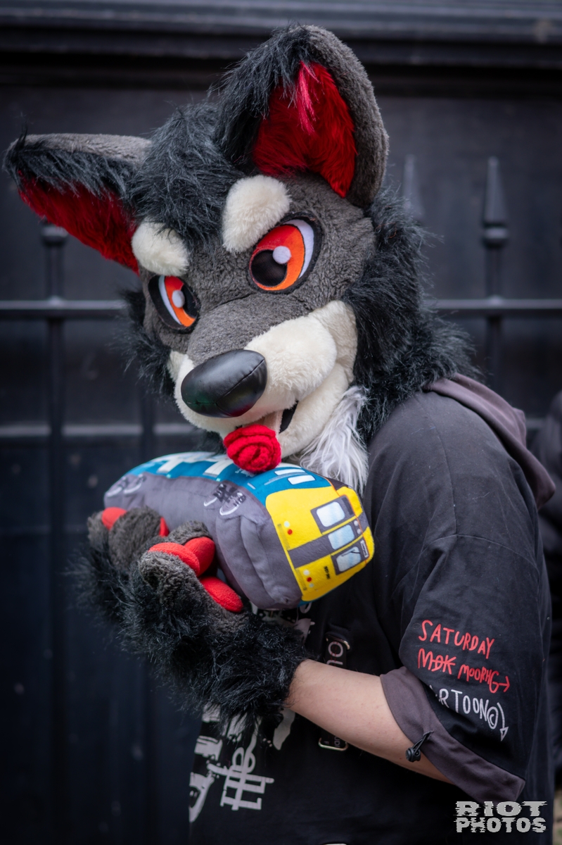 2025-02-08 MancFurs-202502-034.jpg