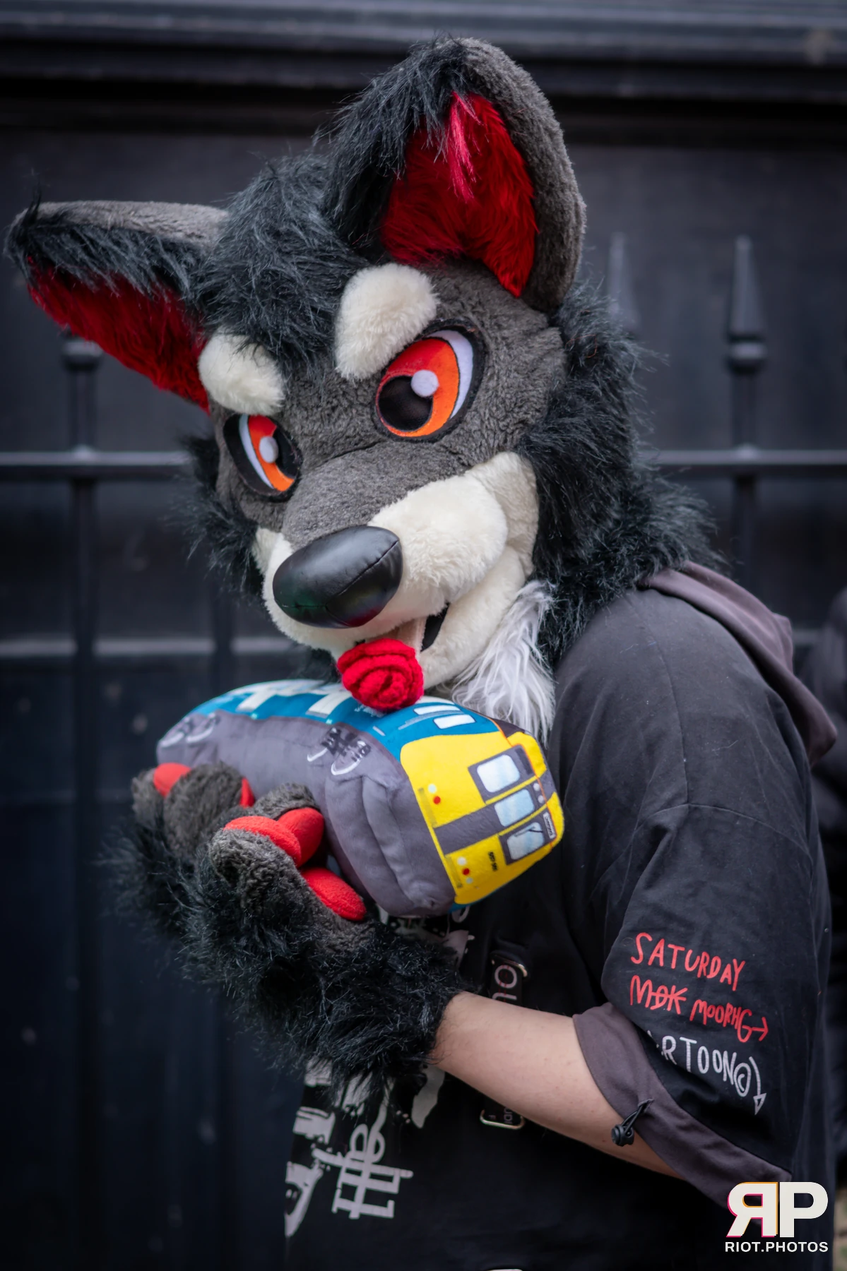 MancFurs - February, 2025 — 08 Feb 2025, Fluffy Riot photography — photo 34