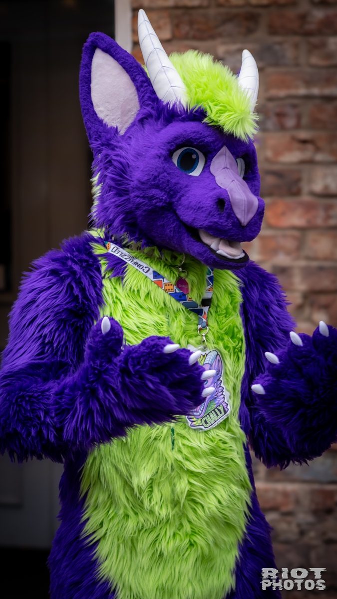 2025-02-08 MancFurs-202502-036.jpg