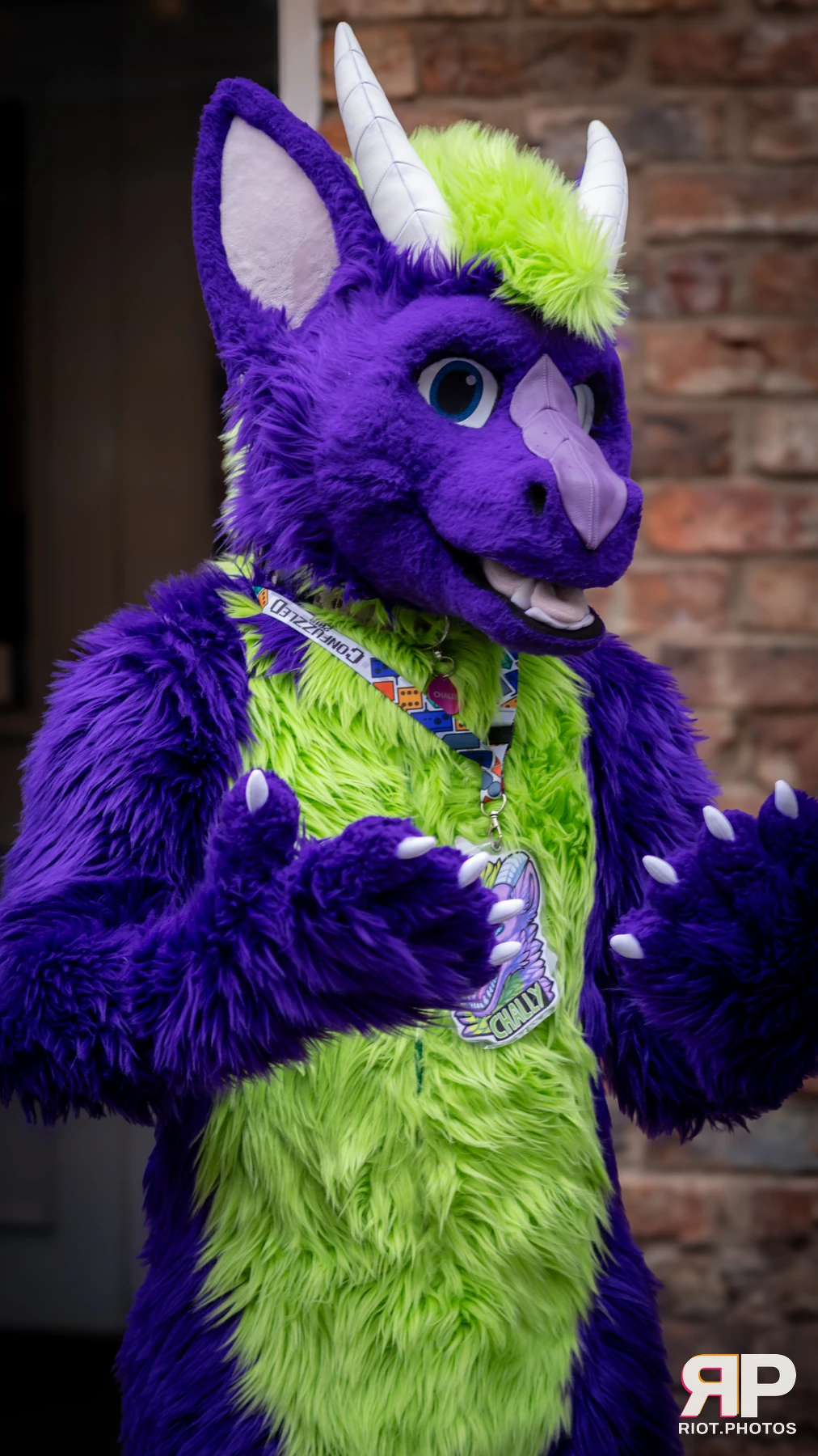 MancFurs - February, 2025 — 08 Feb 2025, Fluffy Riot photography — photo 36