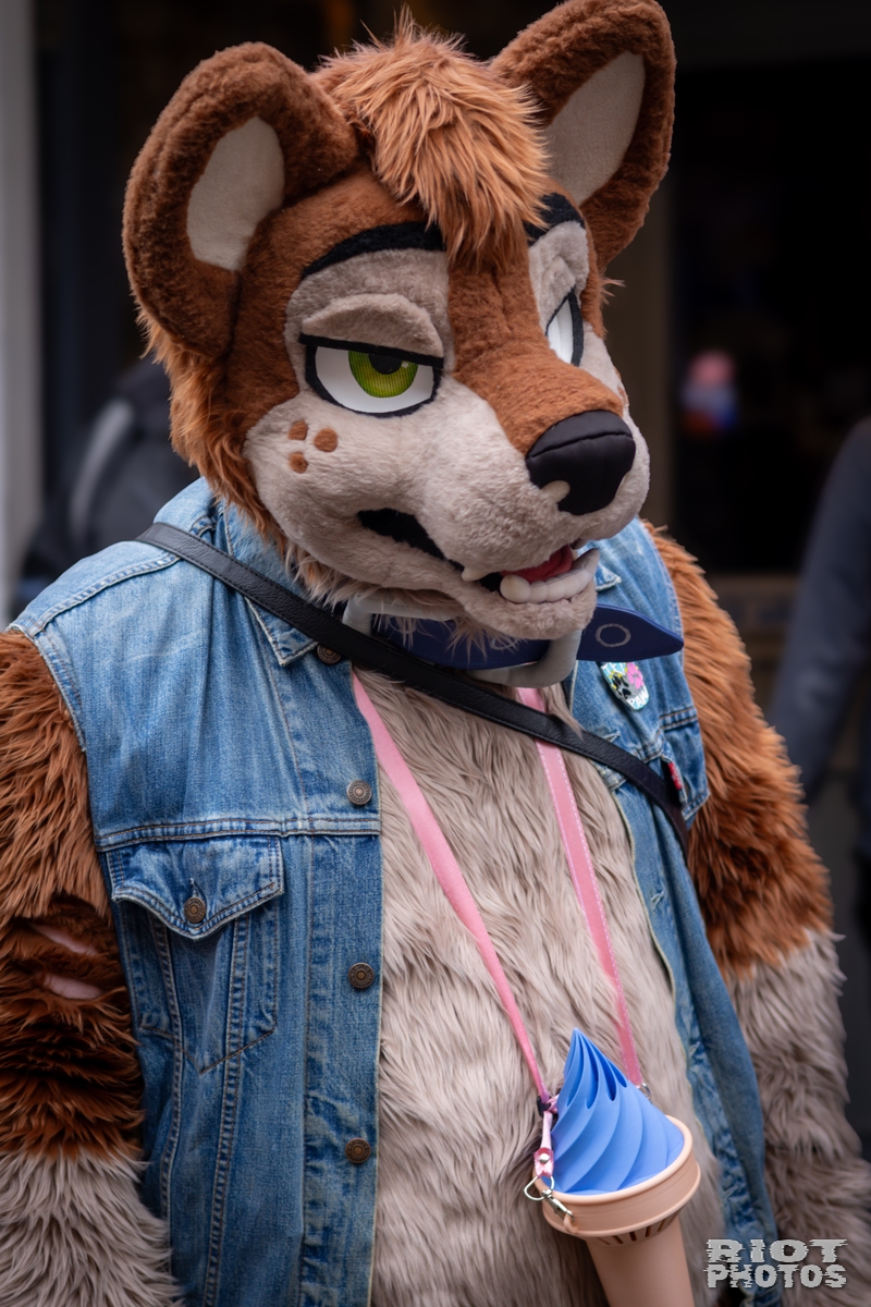 2025-02-08 MancFurs-202502-037.jpg