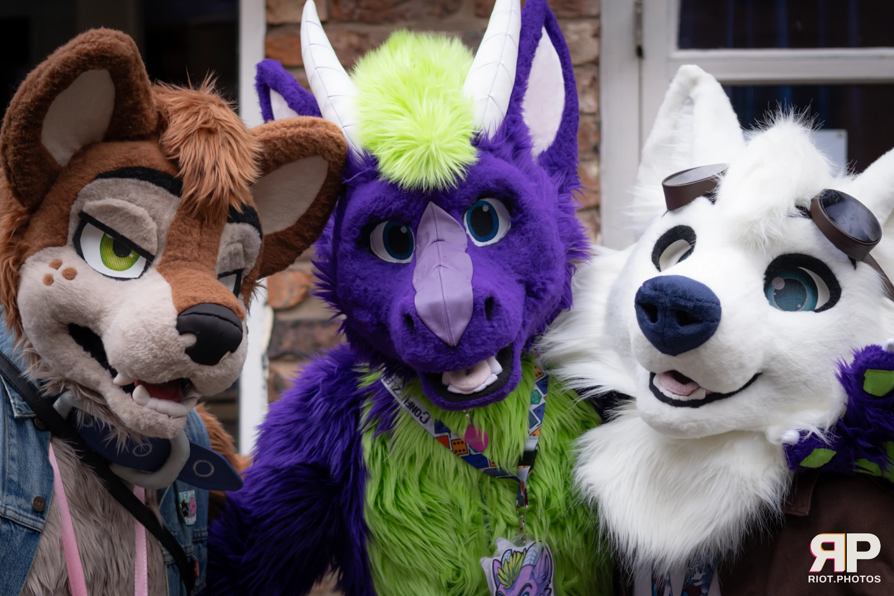 MancFurs - February, 2025 — 08 Feb 2025, Fluffy Riot photography — photo 38