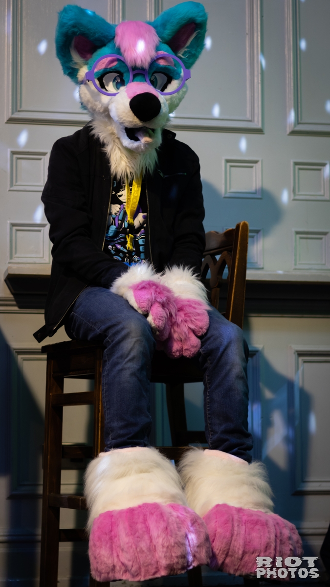 2025-02-08 MancFurs-202502-039.jpg