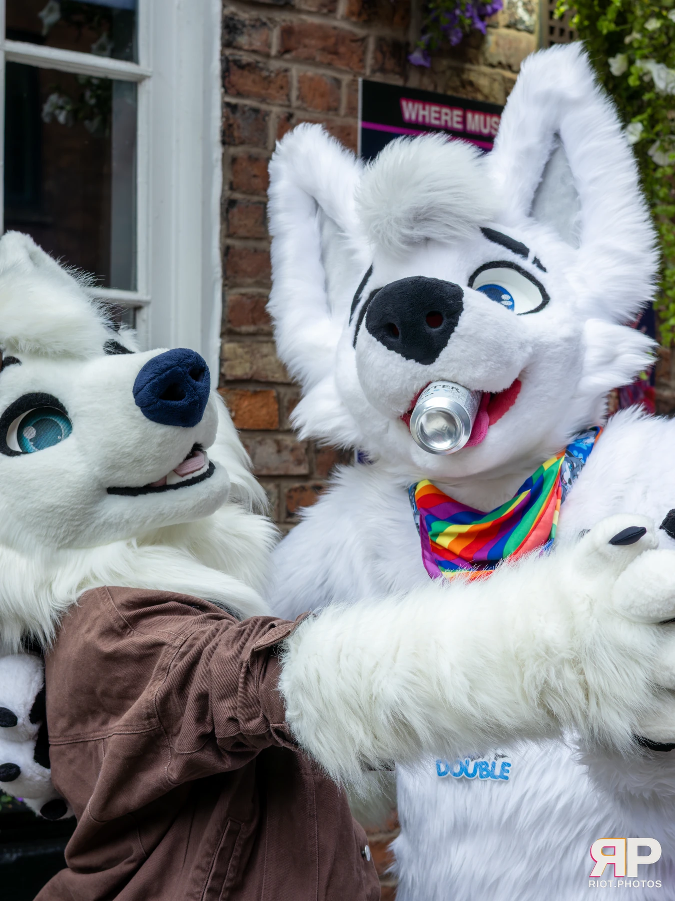 MancFurs - August, 2025 — 09 Aug 2025, Fluffy Riot photography — photo 1