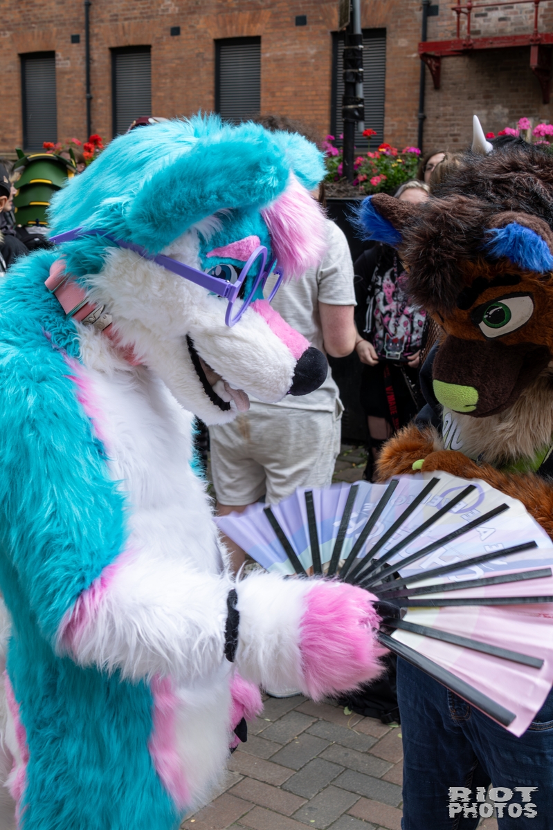 2025-08-09 MancFurs-202508-002.jpg