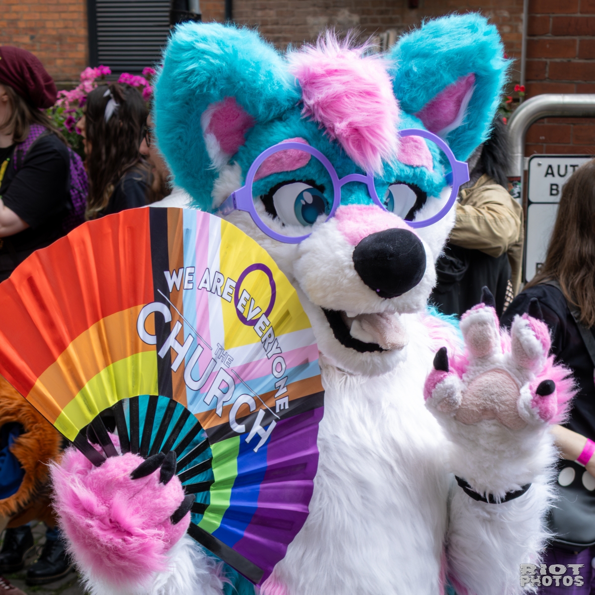 2025-08-09 MancFurs-202508-003.jpg