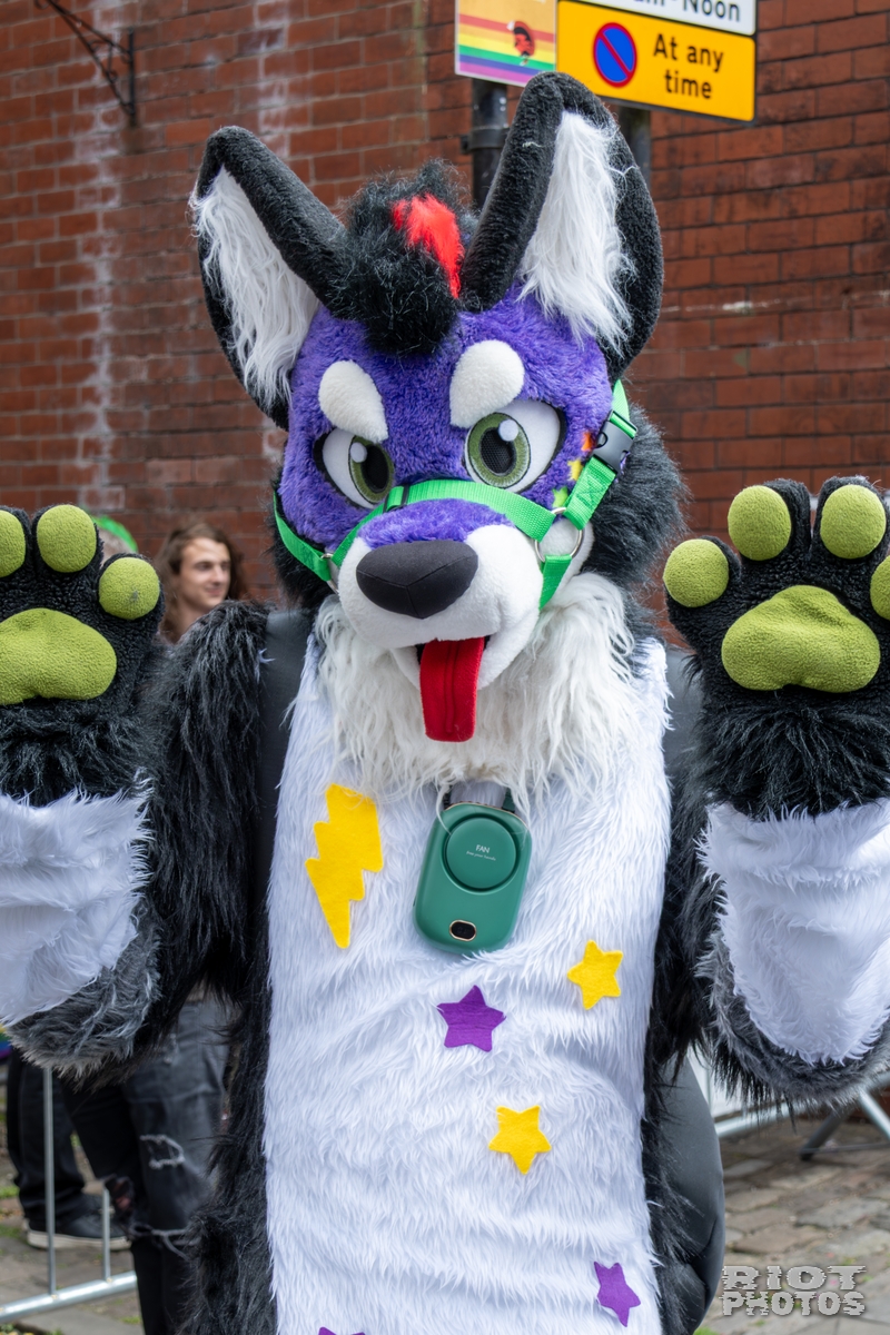 2025-08-09 MancFurs-202508-004.jpg