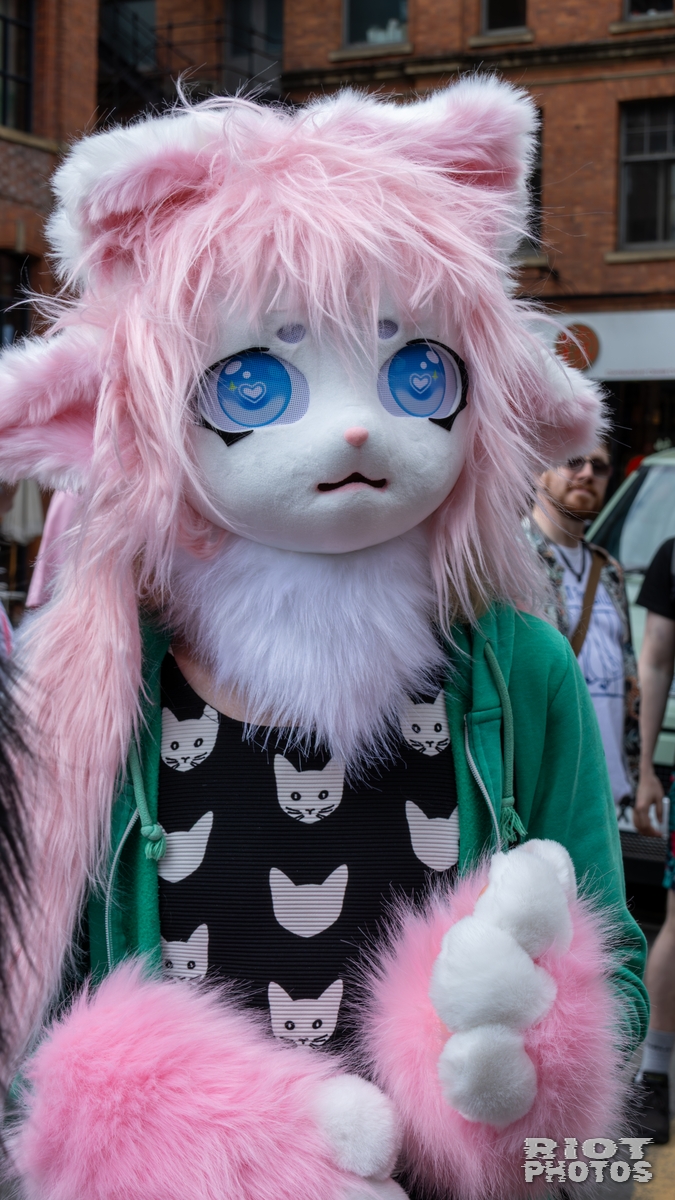 2025-08-09 MancFurs-202508-005.jpg
