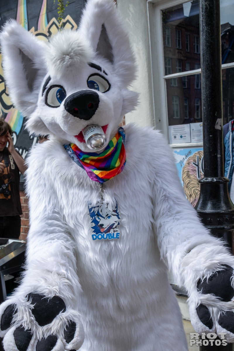 2025-08-09 MancFurs-202508-009.jpg
