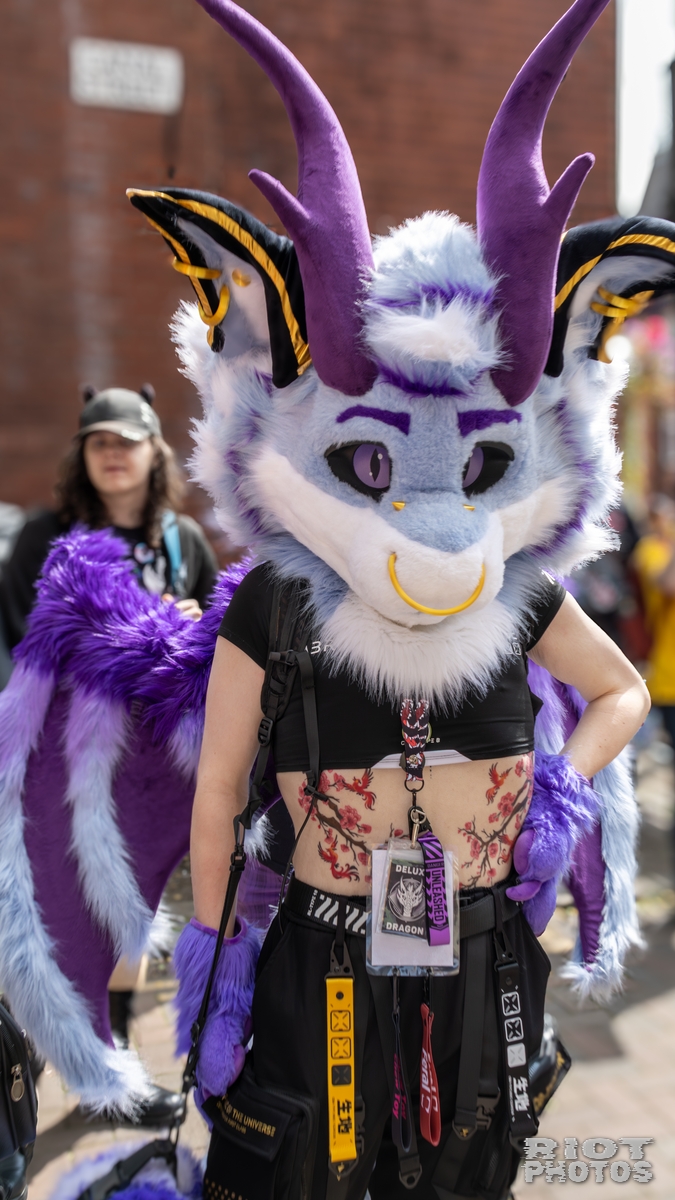 2025-08-09 MancFurs-202508-010.jpg