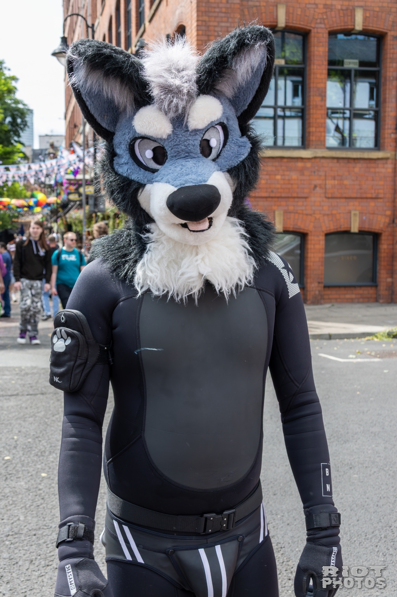 2025-08-09 MancFurs-202508-013.jpg