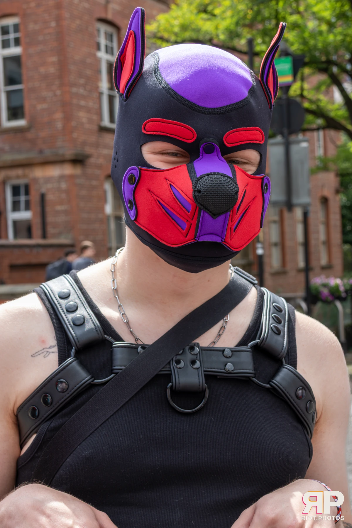 MancFurs - August, 2025 — 09 Aug 2025, Fluffy Riot photography — photo 14