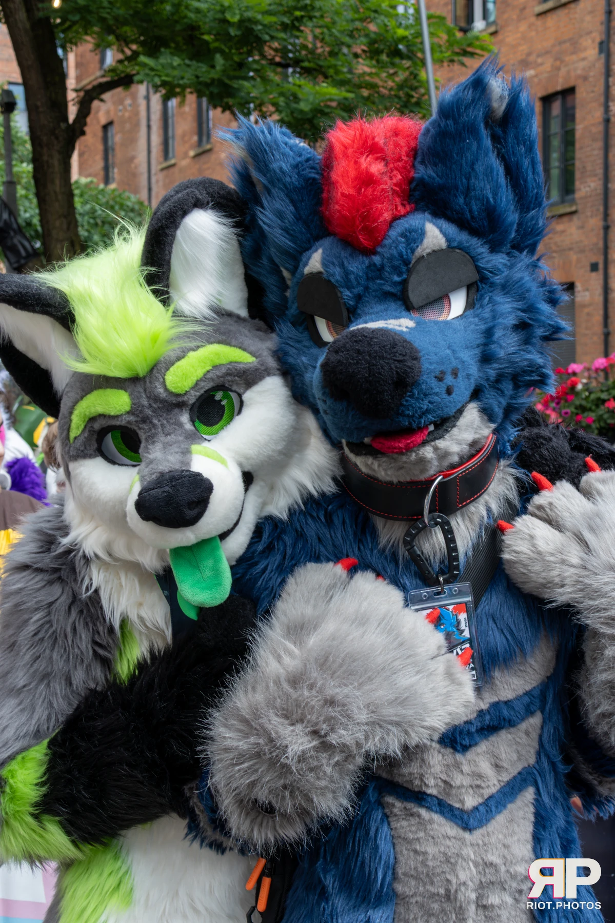 MancFurs - August, 2025 — 09 Aug 2025, Fluffy Riot photography — photo 16