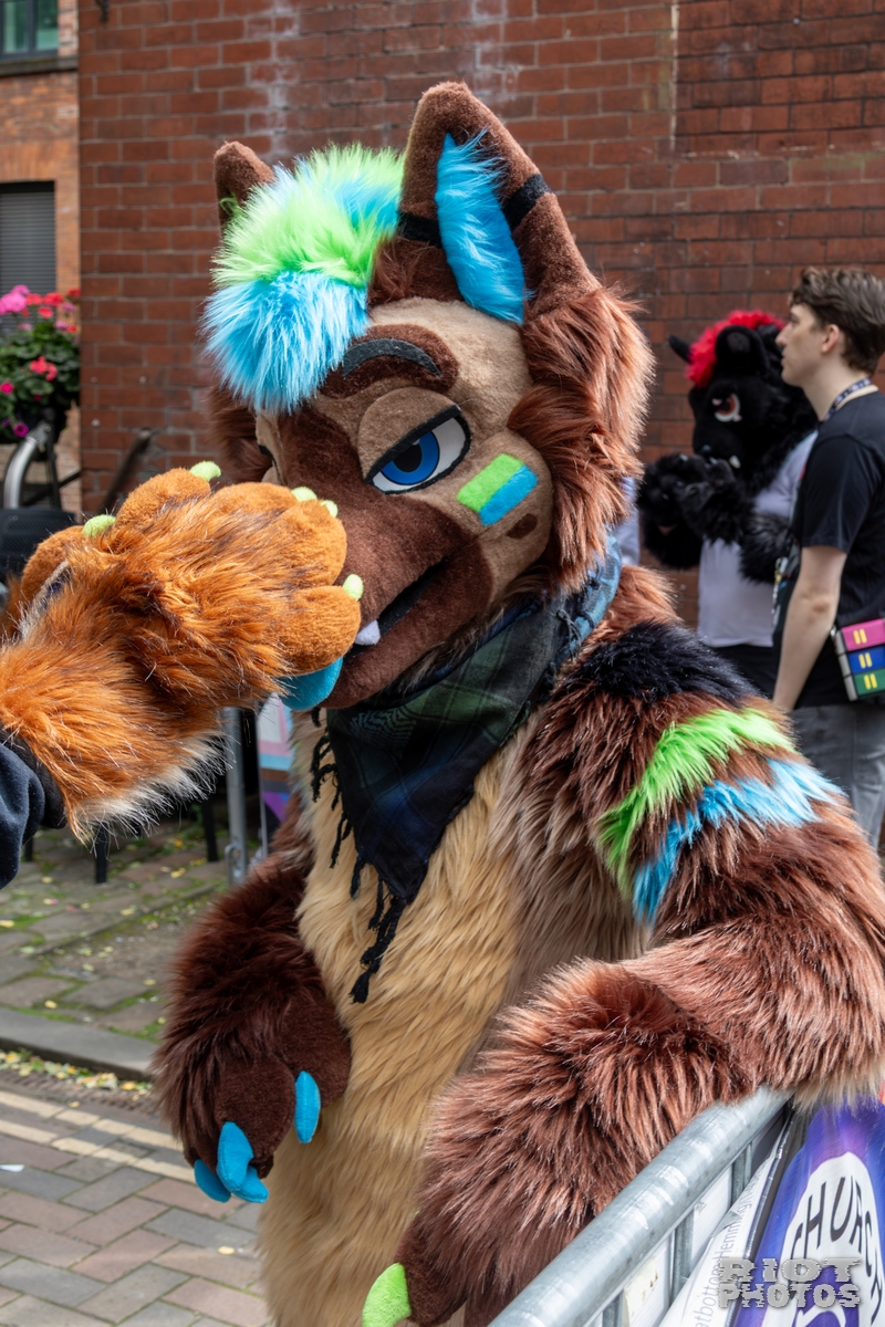 2025-08-09 MancFurs-202508-017.jpg