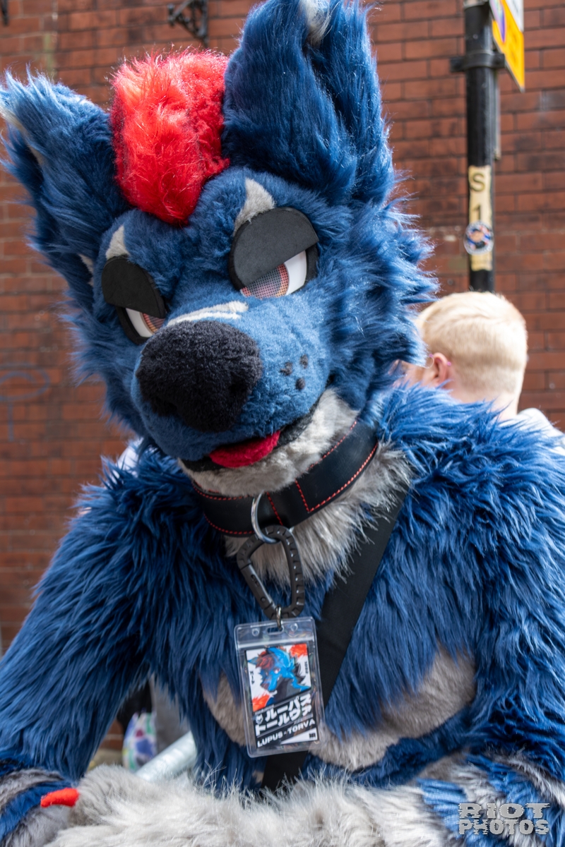 2025-08-09 MancFurs-202508-018.jpg