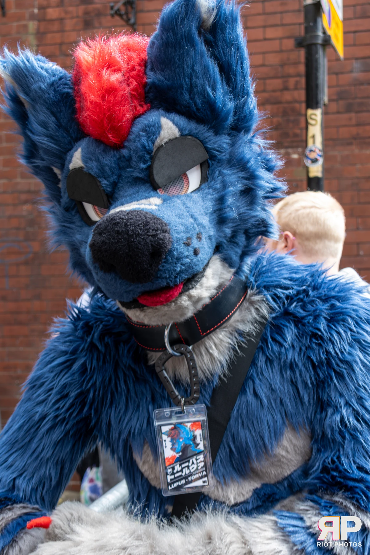 MancFurs - August, 2025 — 09 Aug 2025, Fluffy Riot photography — photo 18