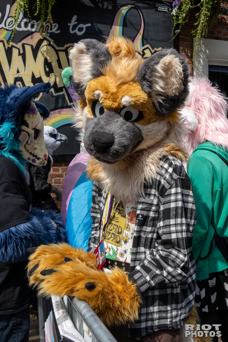 2025-08-09 MancFurs-202508-021.jpg