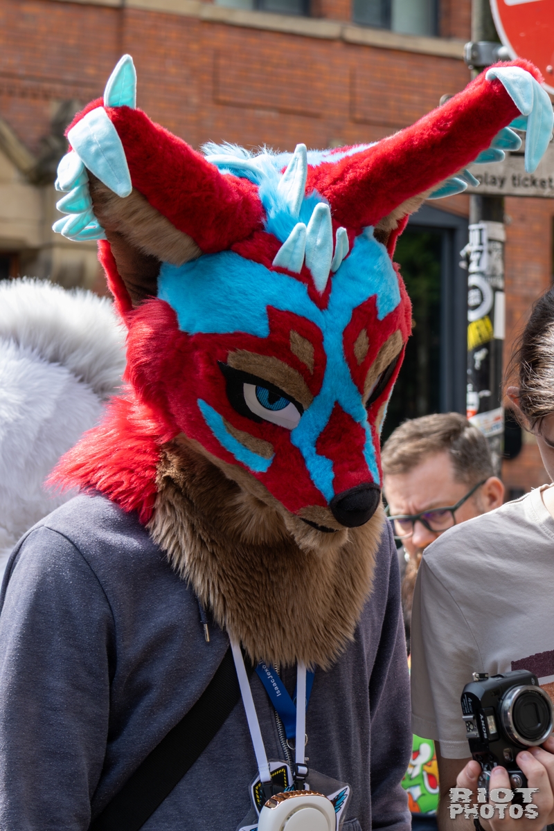 2025-08-09 MancFurs-202508-022.jpg