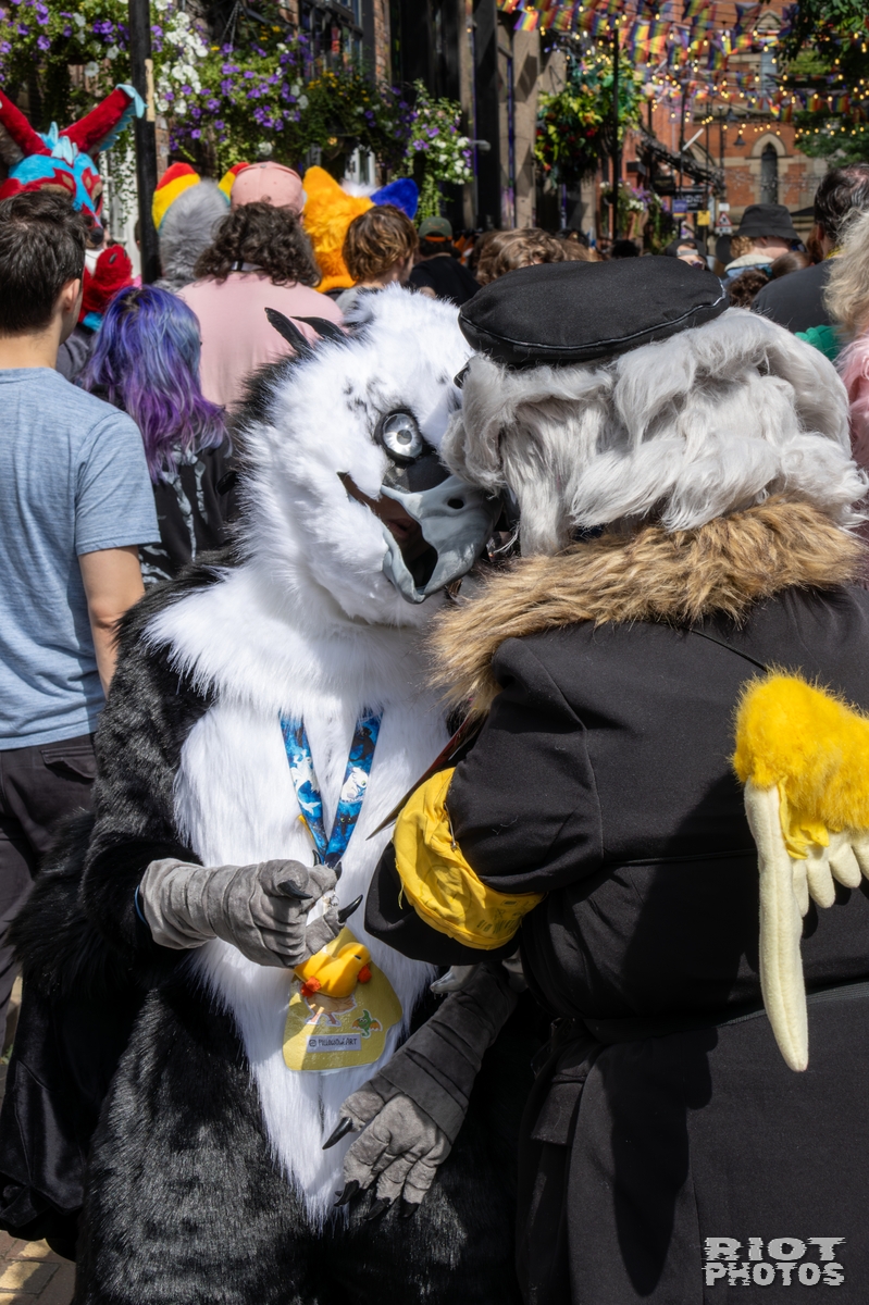 2025-08-09 MancFurs-202508-024.jpg