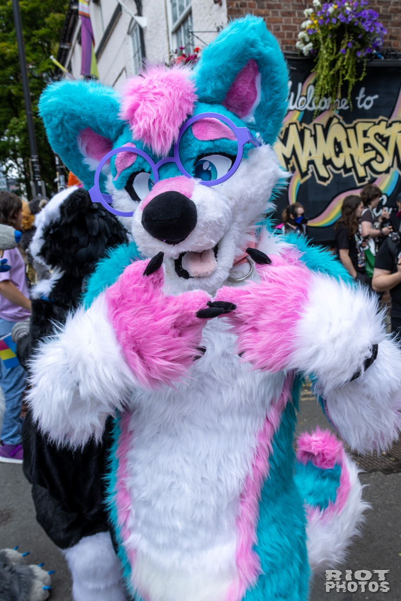 2025-08-09 MancFurs-202508-026.jpg