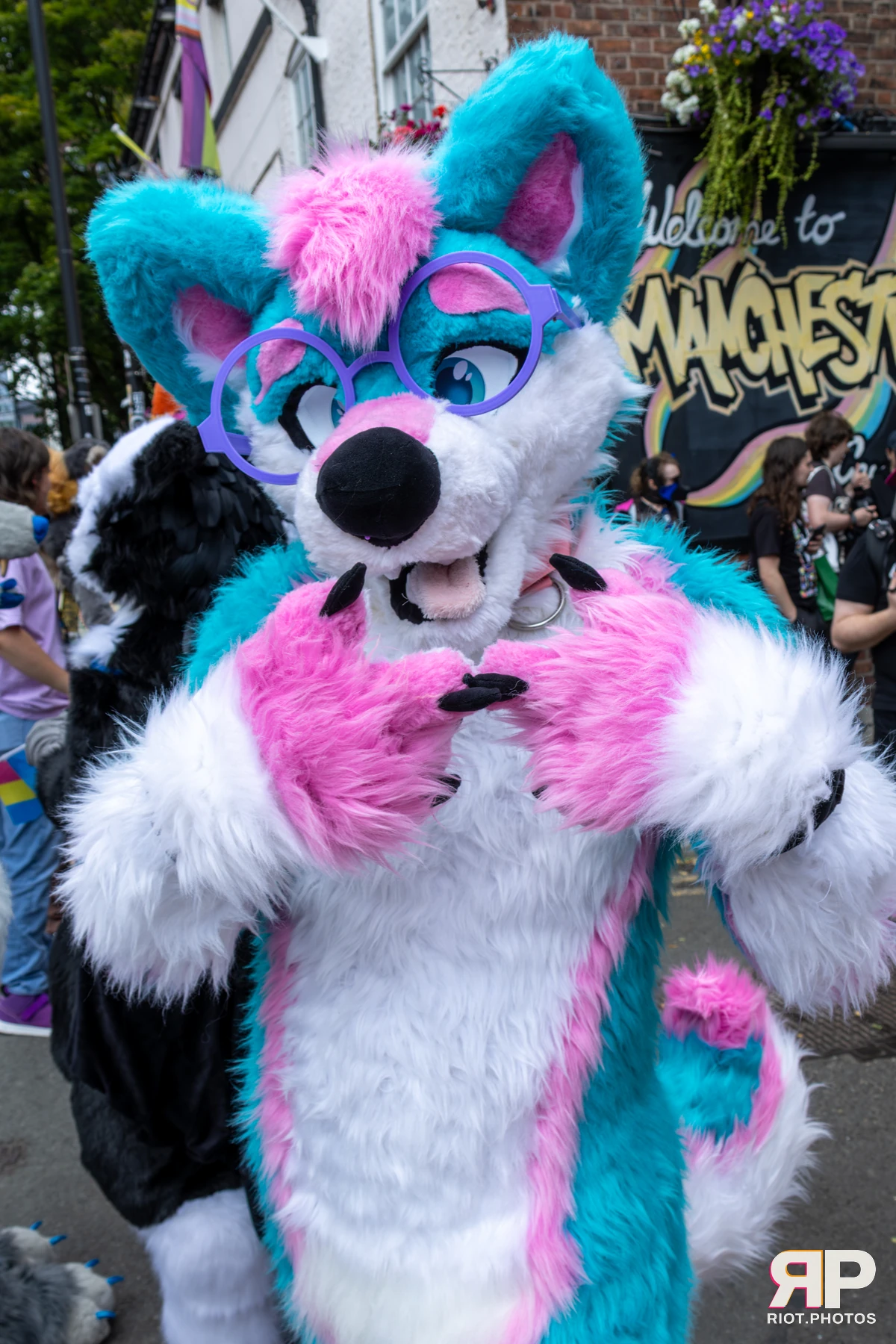 Pup Kaz — furry & pup photography by Fluffy Riot — photo 406