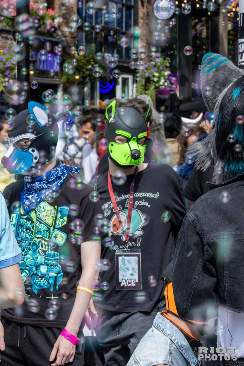 2025-08-09 MancFurs-202508-027.jpg