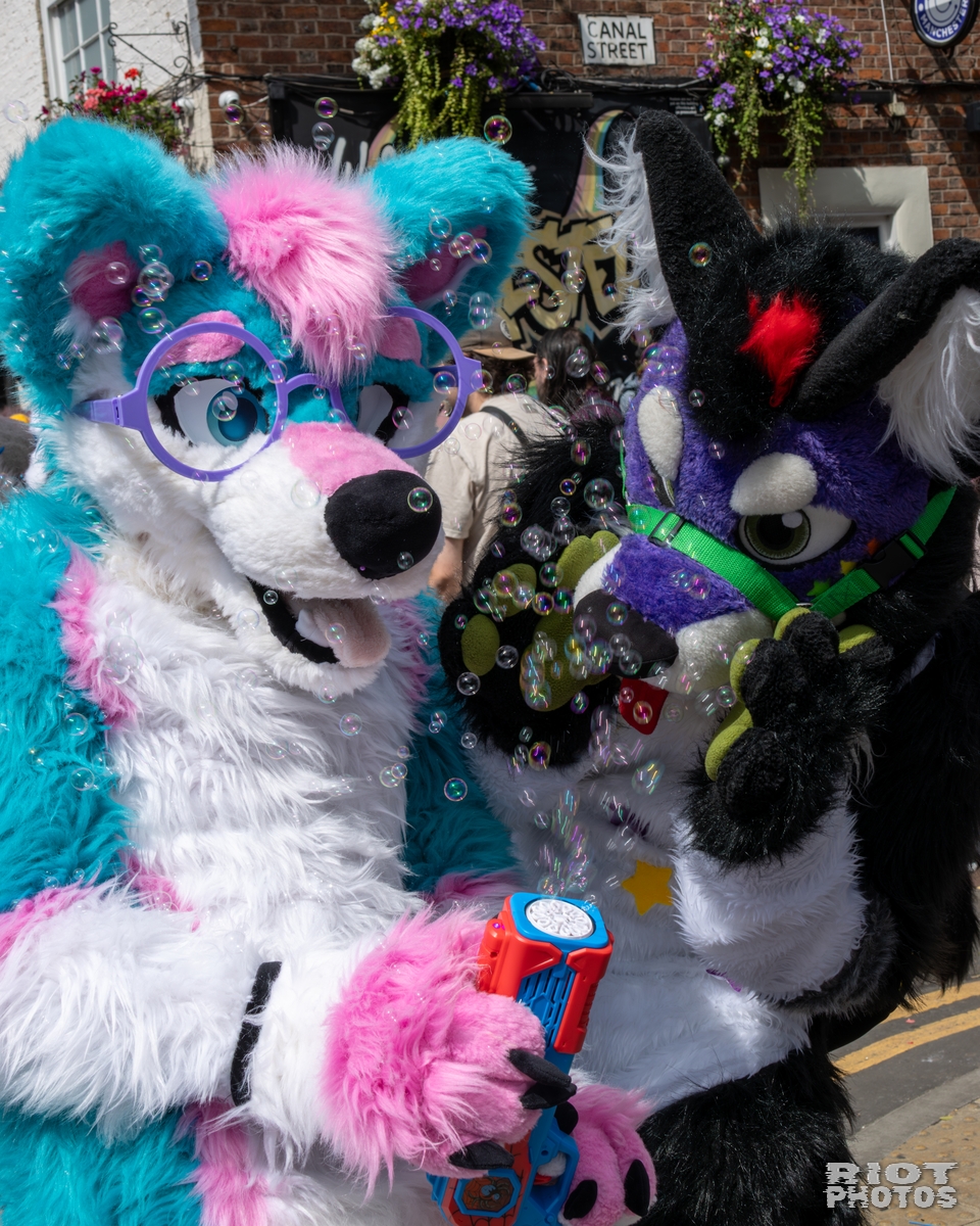 2025-08-09 MancFurs-202508-028.jpg