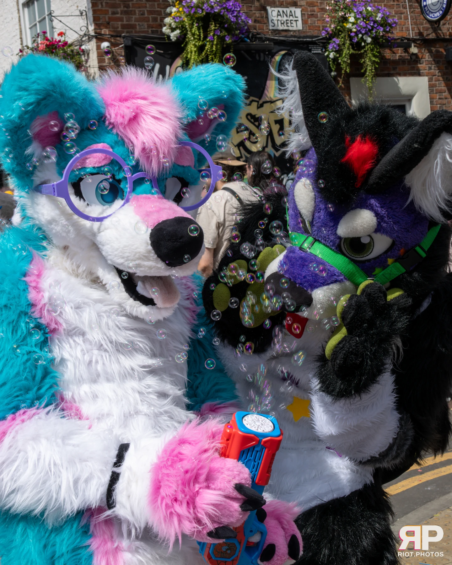 MancFurs - August, 2025