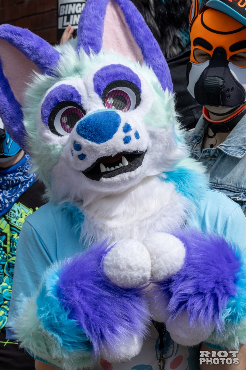 2025-08-09 MancFurs-202508-029.jpg