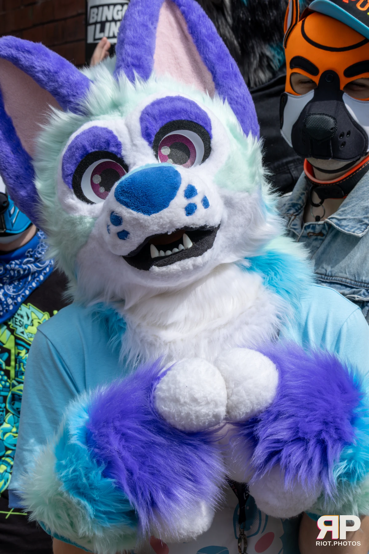 MancFurs - August, 2025 — 09 Aug 2025, Fluffy Riot photography — photo 29