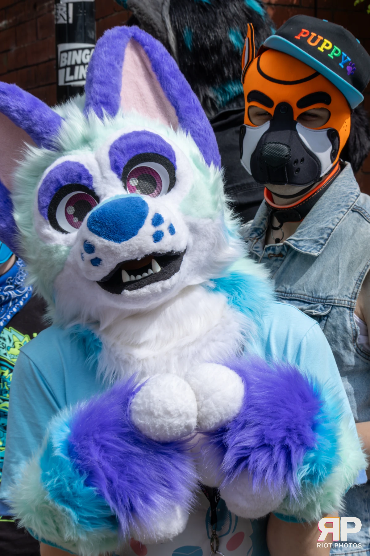 MancFurs - August, 2025 — 09 Aug 2025, Fluffy Riot photography — photo 30