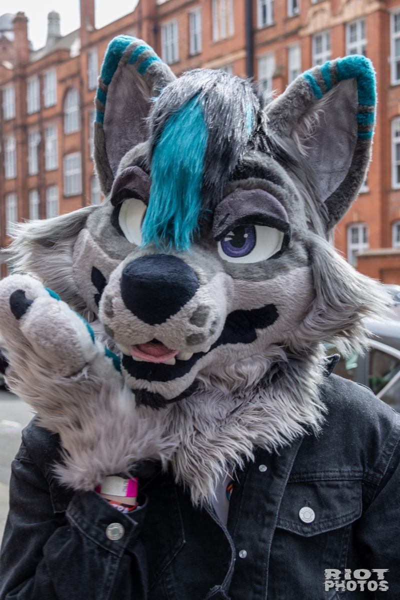 2025-08-09 MancFurs-202508-031.jpg