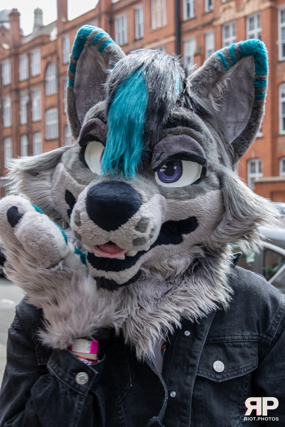 Salerei — furry & pup photography by Fluffy Riot — photo 121