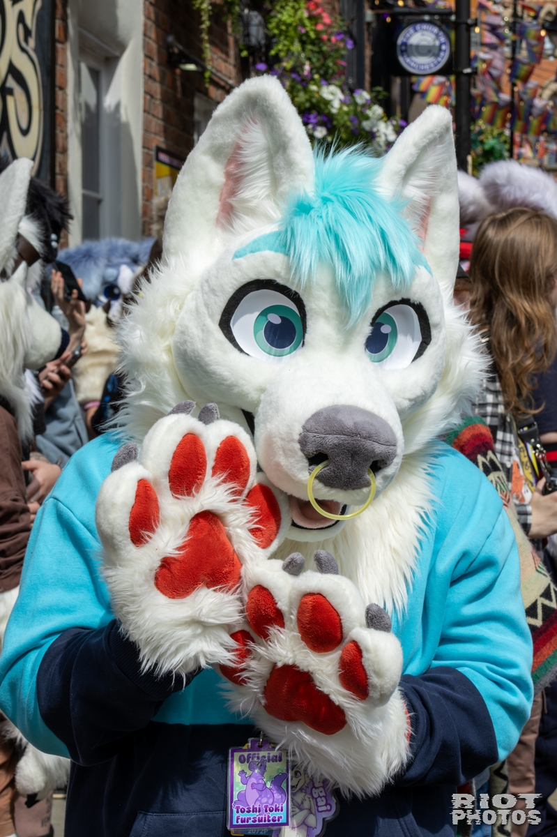 2025-08-09 MancFurs-202508-034.jpg